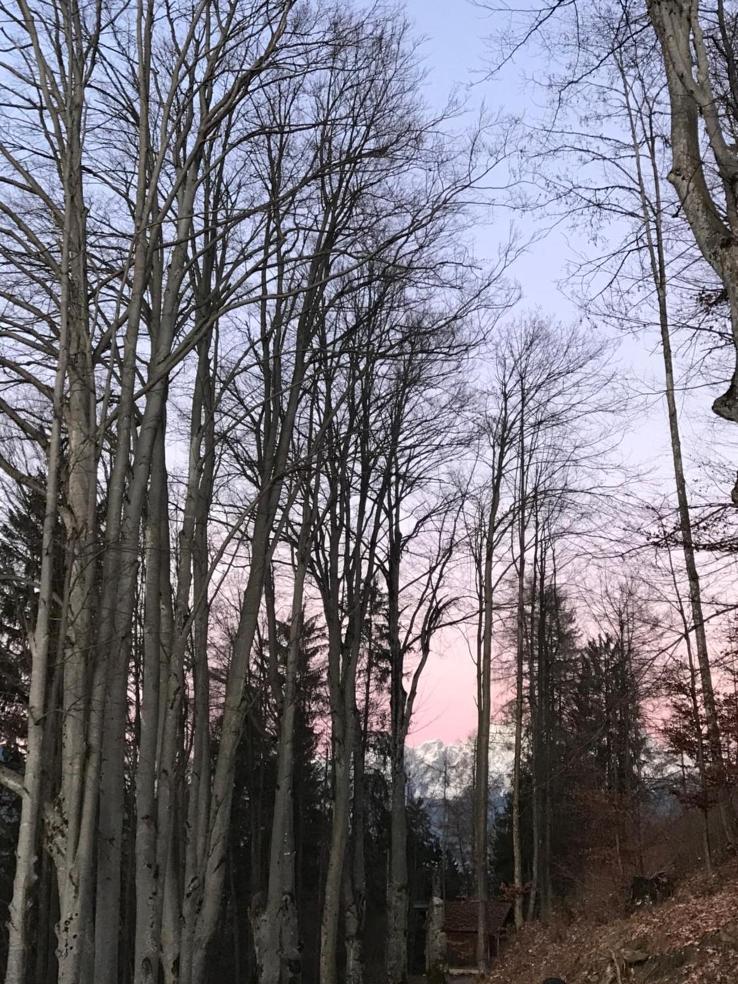 Lioda Living Pieve di Cadore Bilik gambar