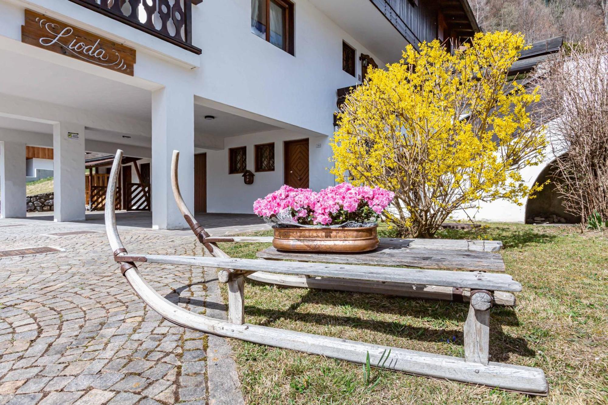 Lioda Living Pieve di Cadore Luaran gambar